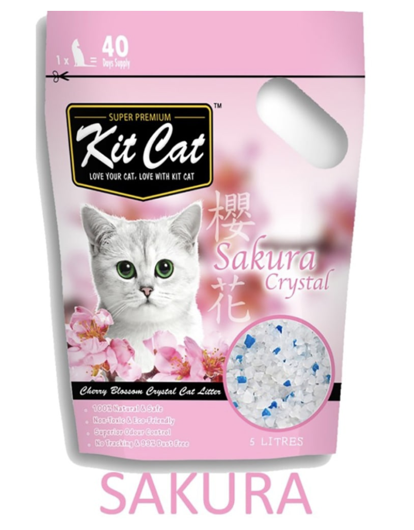 Cát vệ sinh cho mèo - Cát thủy tinh [FREESHIP] KitCat 5L