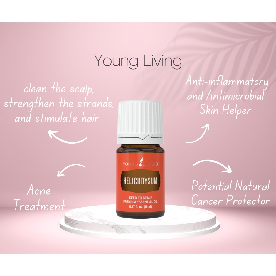 Young Living ヘリクリサム エッセンシャルオイル 5ml 中古品 100