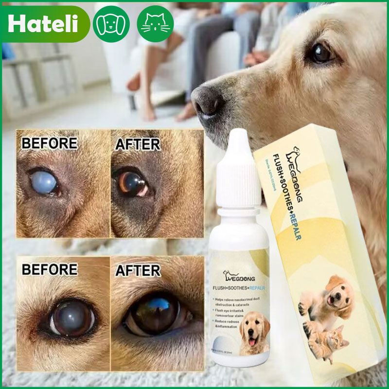 HATELI Dogs Eye Drops Help Relieve Eye Discomfort & Cataracts Reduce Redness &inflammation Tear Stains for Dogs&Cats