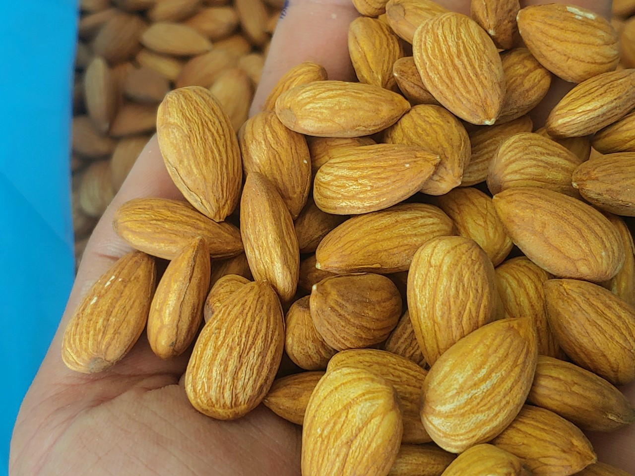 Combo 1 kg hạt làm GRANOLA ( Tặng 100g cacao ) và công thức làm