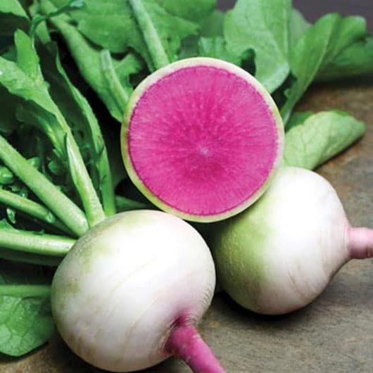 Hạt Giống Củ Cải Ruột Hồng (1gr)