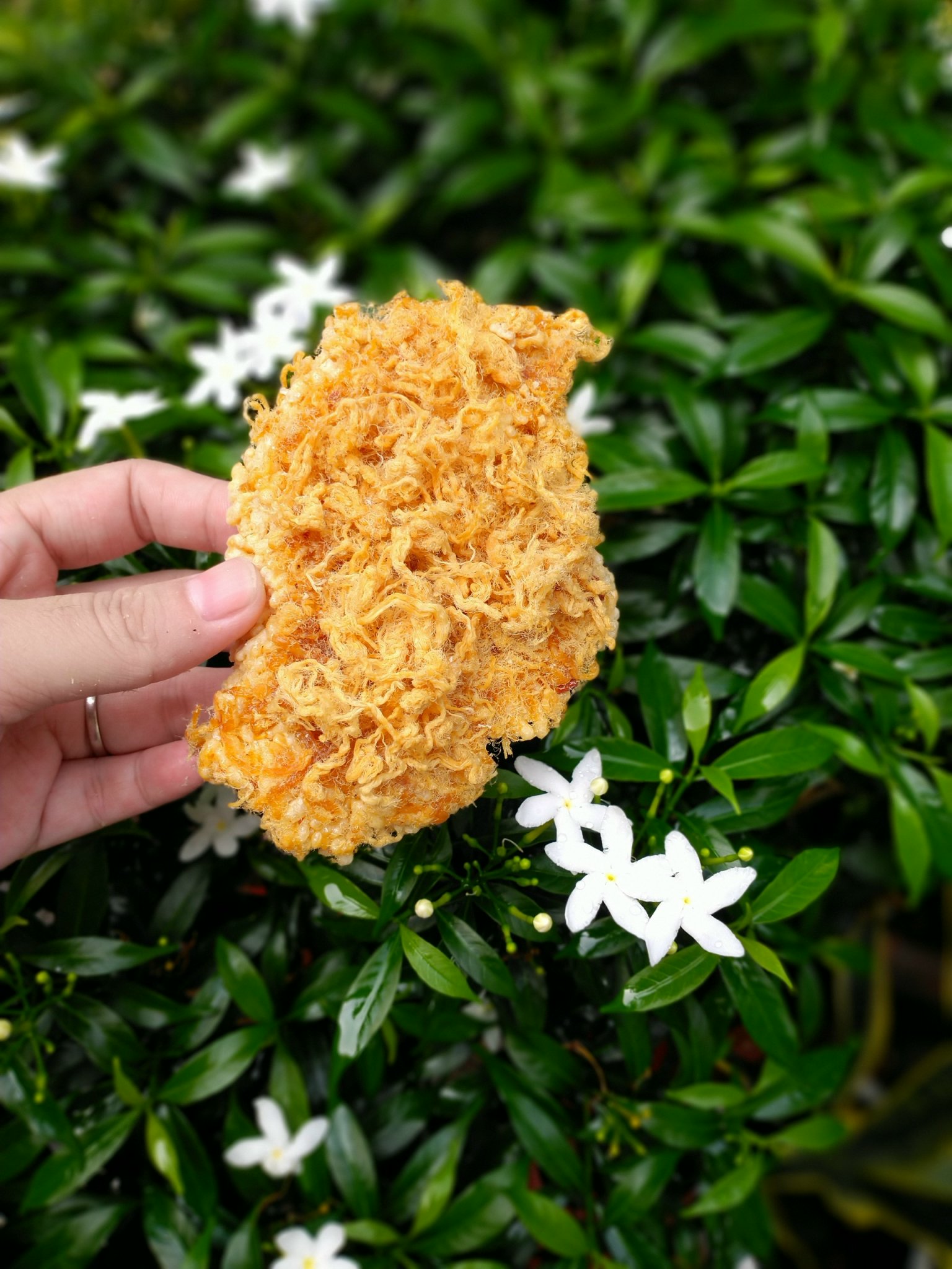 Cơm cháy đáy nồi chà bông 500g