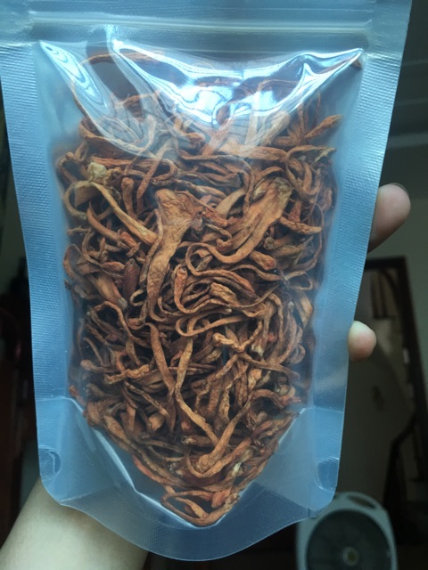 Đông trùng hạ thảo sấy khô gói 100g