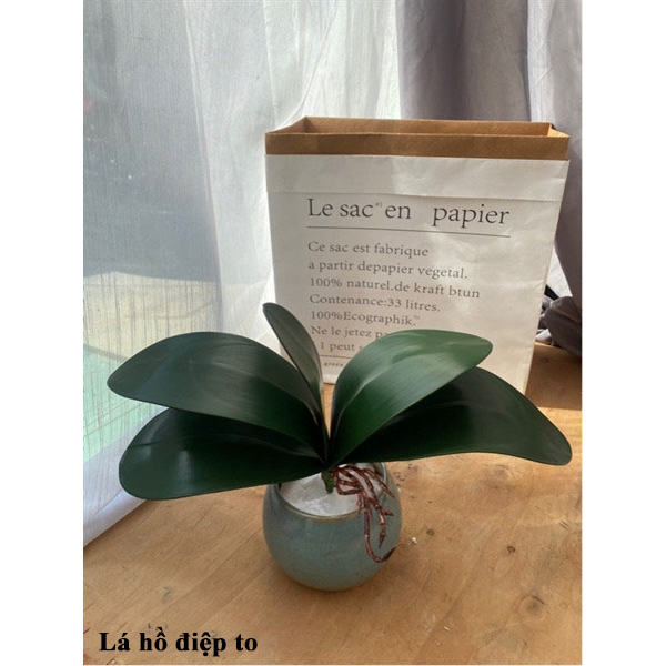 Lá lan, lá hồ điệp chất liệu cao su