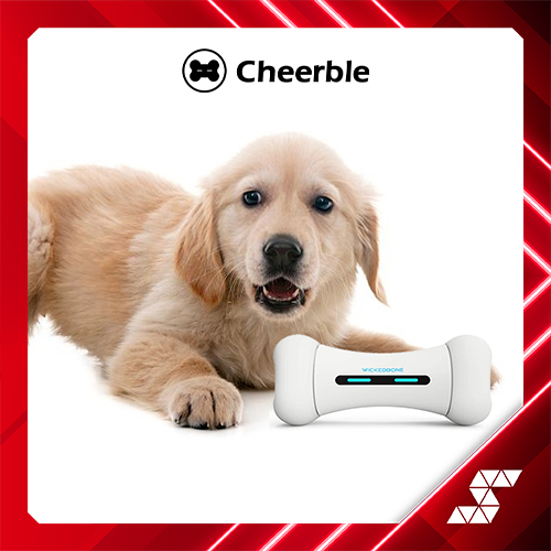 Cheerble's Wickedbone is a fun smart dog toy with a mind of its