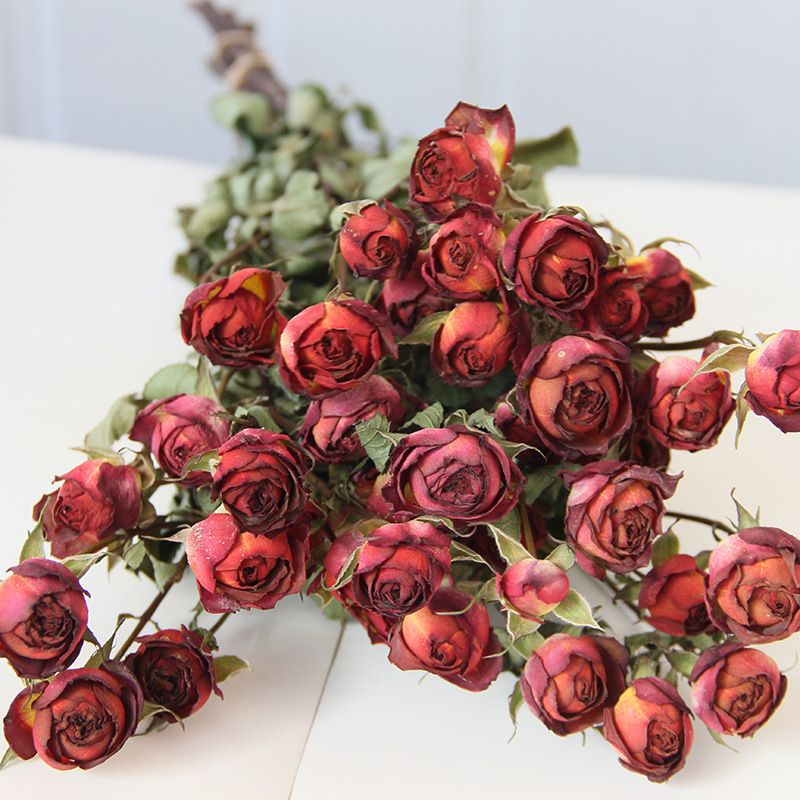 Dried Flower Rose bunga ros bunga kering hiasan 玫瑰花干花 Rose Flower Bouquet  Birthday Gift Holiday Proposal Day Dried Flowers ROSES&LEAF / DRIED FLOWER  Artificial Rose Flowers Heads Wedding Decoration Room Decor High