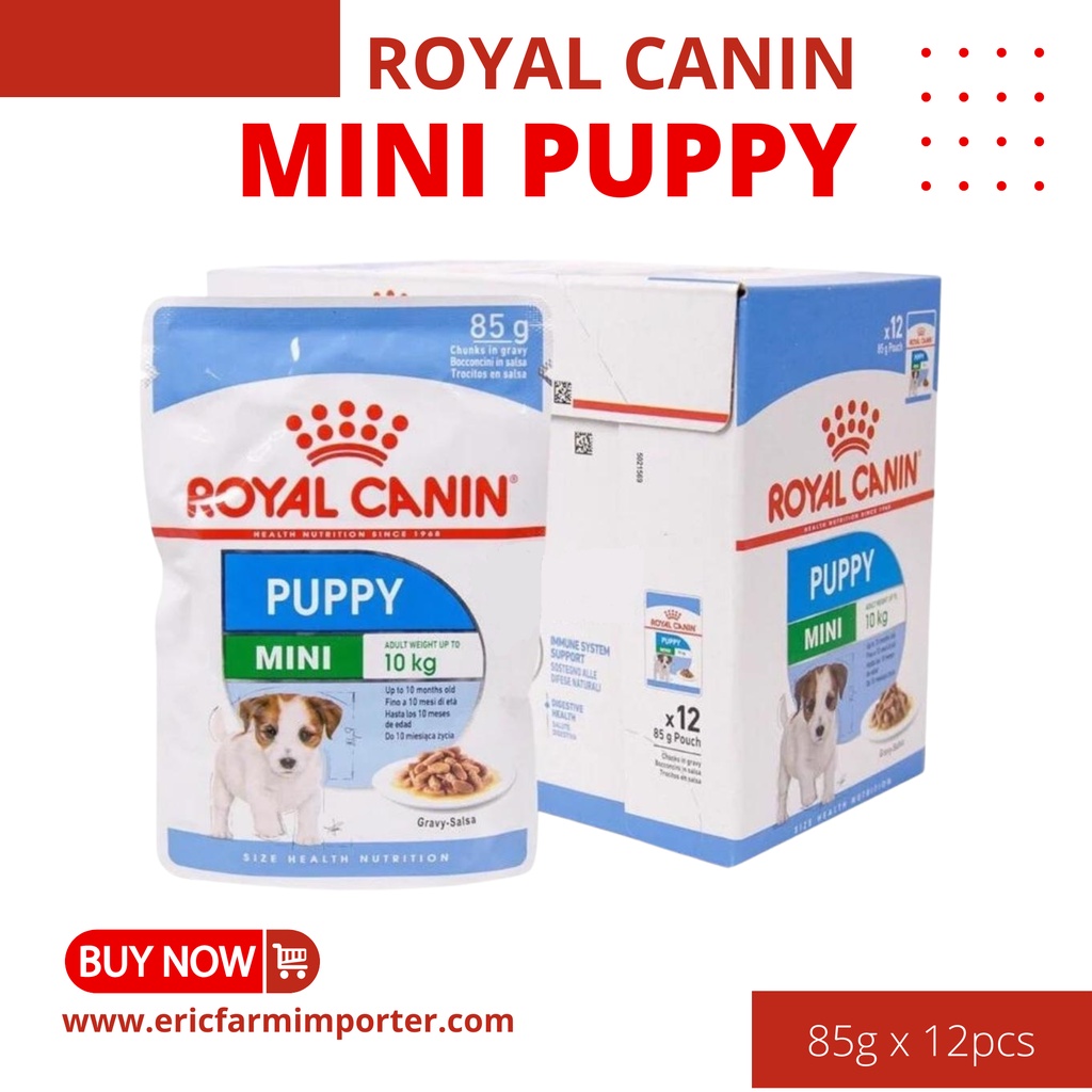 Pate cho chó con royal canin mini puppy 🐶free ship 🐶 cho chó con giống nhỏ