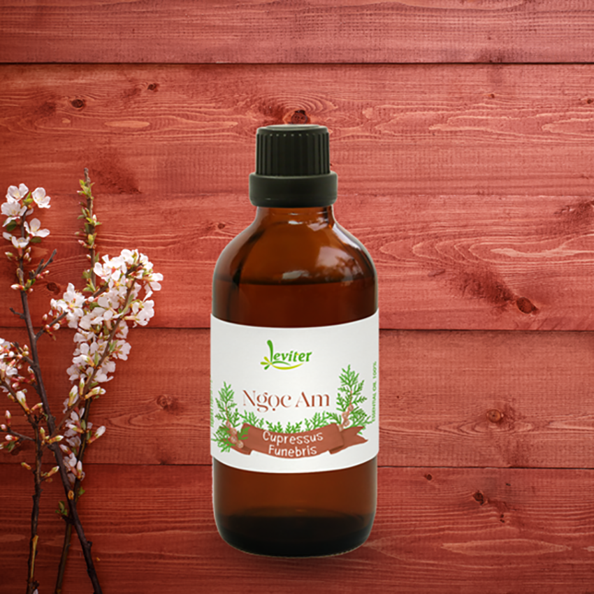Tinh Dầu Leviter Gỗ Ngọc Am 100ml nhẹ nhàng
