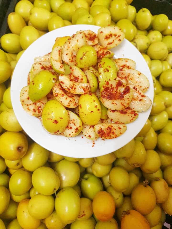 Cây giống TÁO chua năng suất cao