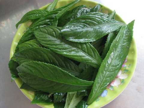 1kg lá xương sông tươi sạch nhà trồng