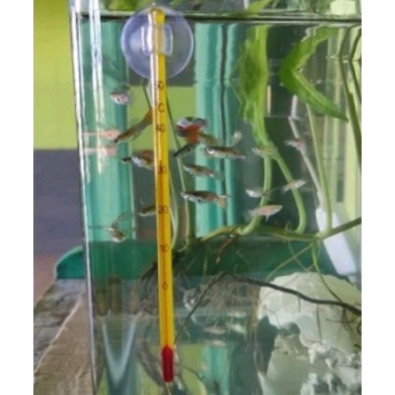 Termometer aquarium RECENT RC T008