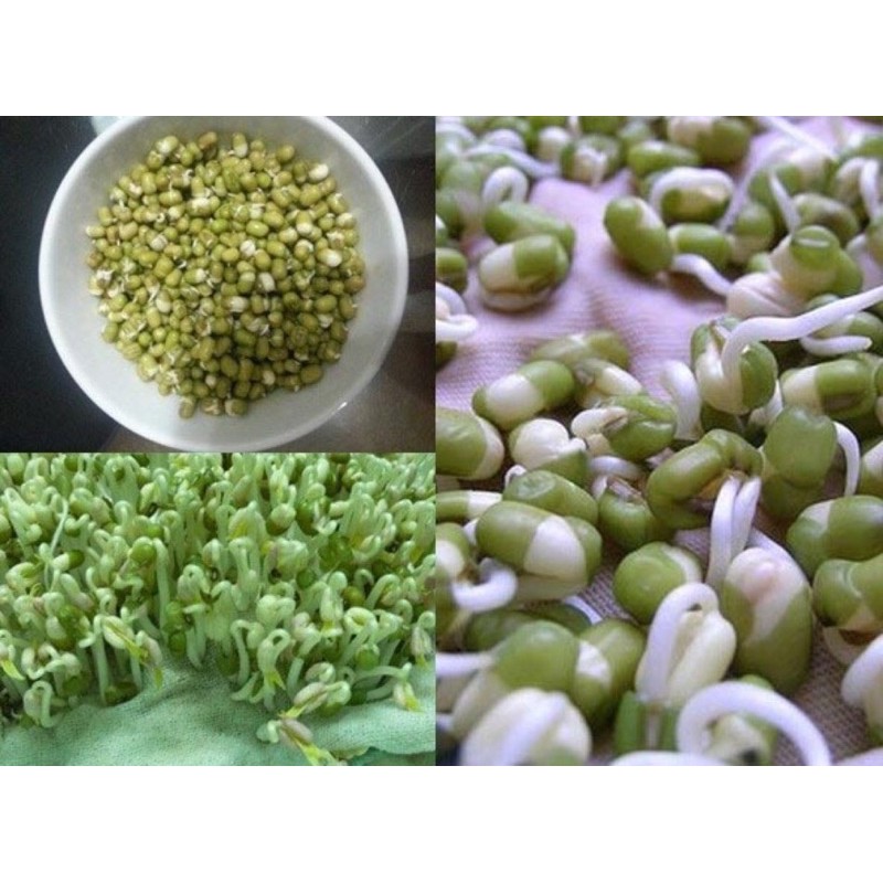 1kg Đậu Xanh Hạt