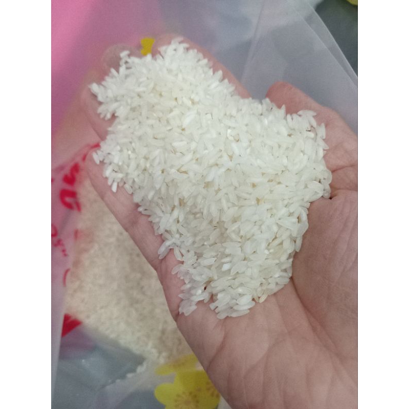 5kg gạo móng chim nở khô xốp
