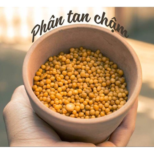 Phân vàng osmocote 14-14-14 tan chậm dùng hoa lan, hồng túi 50gr/100gr/200gr