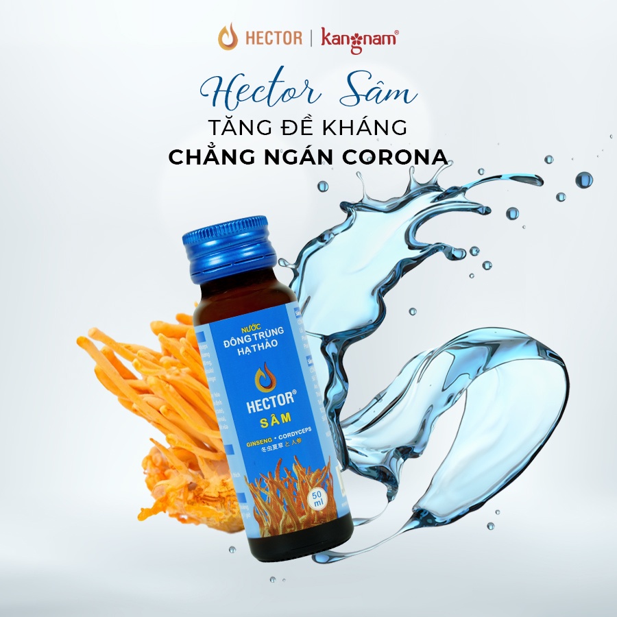 Hộp 10 Chai Hector Cordyceps Ginseng   Sâm( xanh)