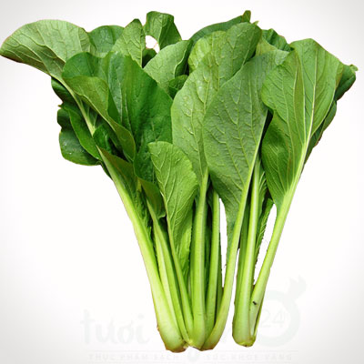Hạt giống cải ngọt - gói 20 gram
