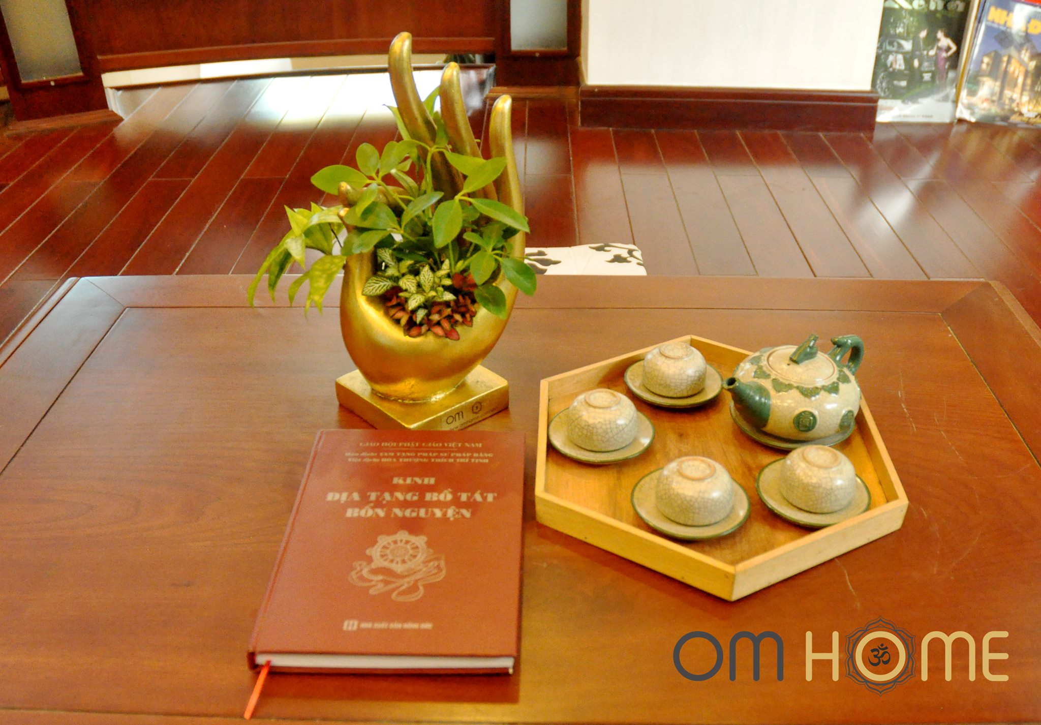 Ấn Vô Úy Có Cây Om Home (Trồng sẵn cây và chỉ giao nội thành Hồ Chí Minh)