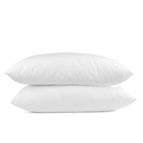 [HCM]Combo 2 ruột gối bông hạt 40x60