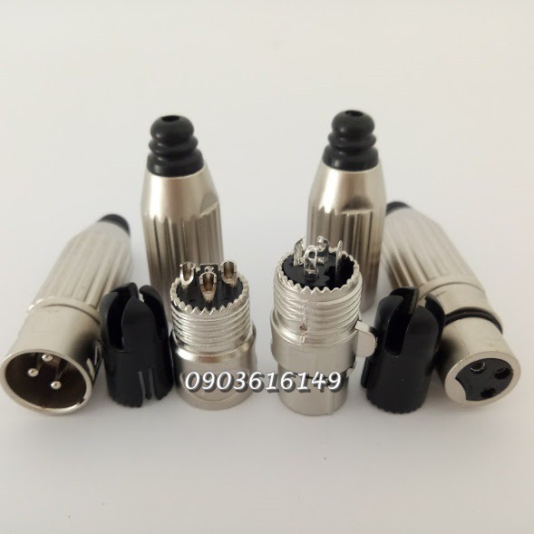Bộ 4 Jack Canon sọc ( 2 đực + 2 cái )