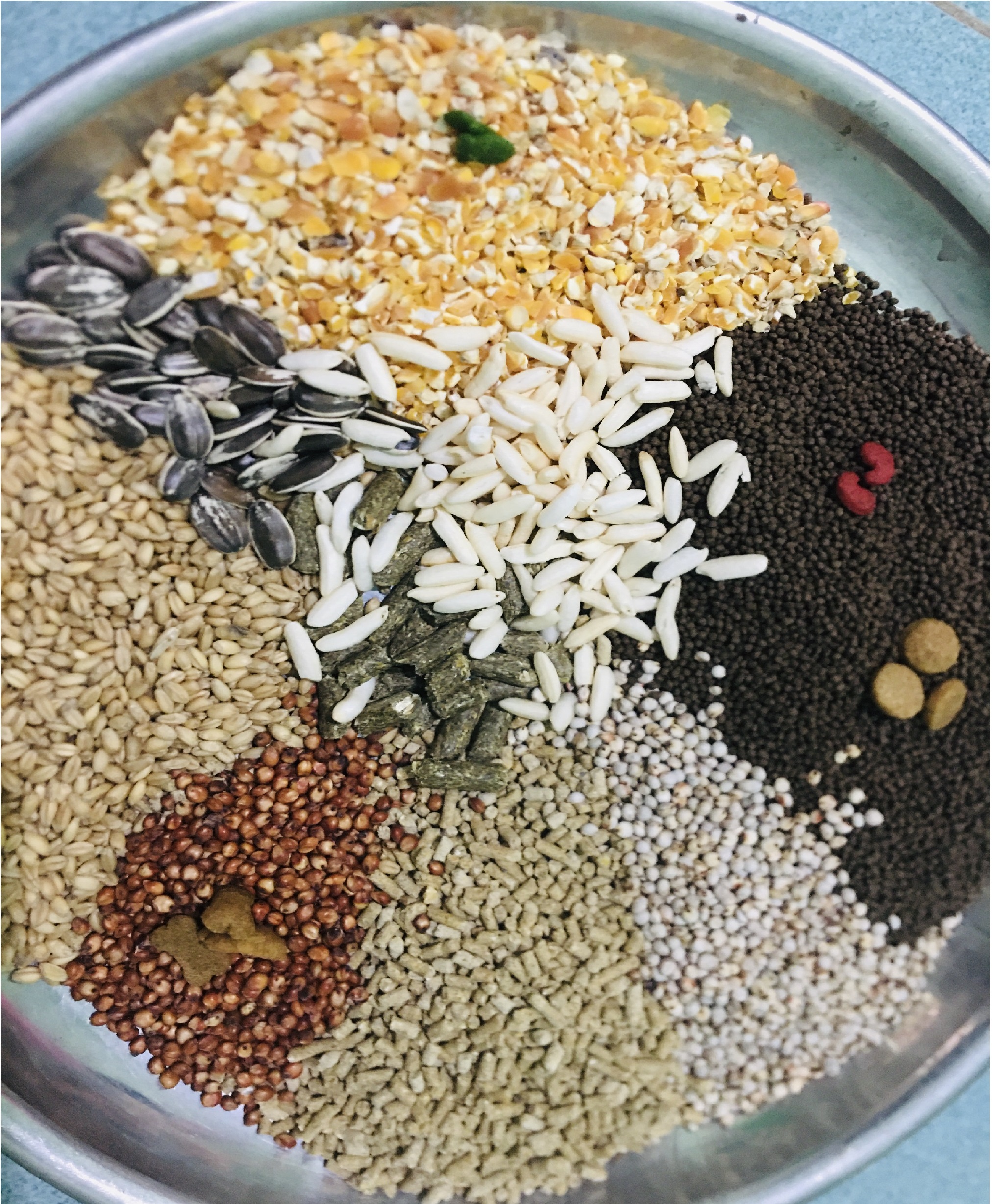 Cát Sand Lót Dùng Cho Hamster 1Kg
