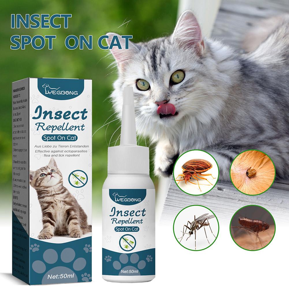 Beautiful view of Flea Removal For Cats With Scratching