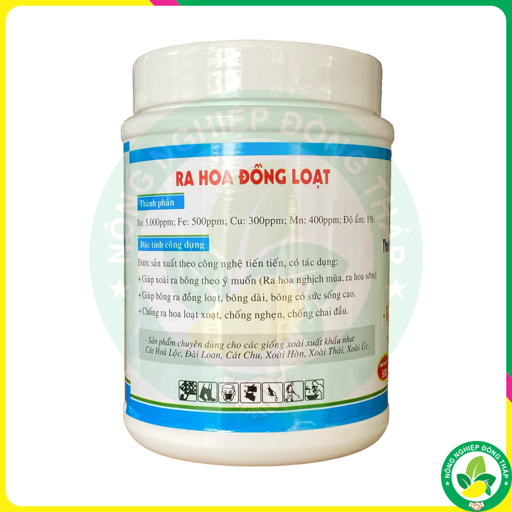 RA HOA XOÀI – Thúc Ra Hoa Đồng Loạt (Hộp 500g)