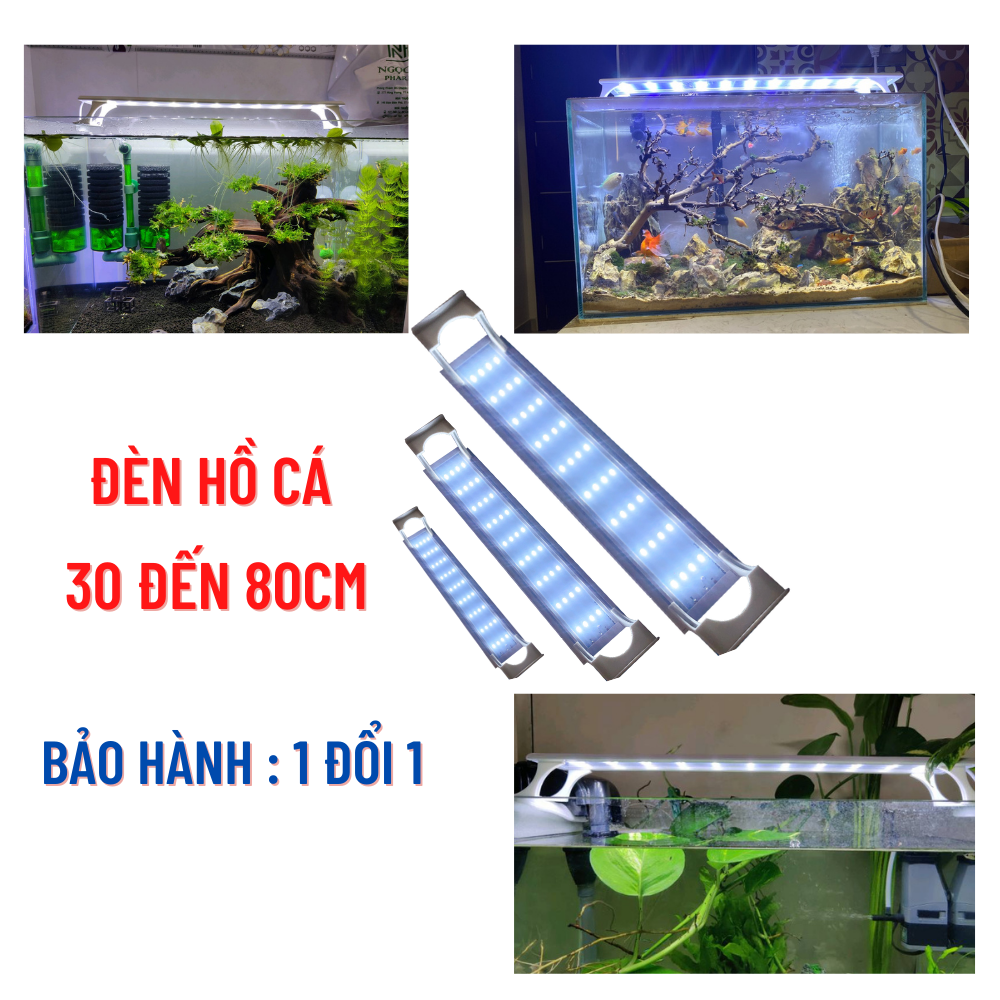Đèn bể cá THỦY SINH với 4 dãy led cho bể cá thủy sinh