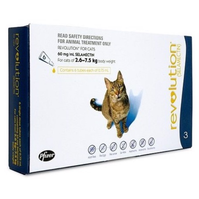 Nhỏ gáy ve rận Revolution Plus cho mèo ( 1 tuýp )