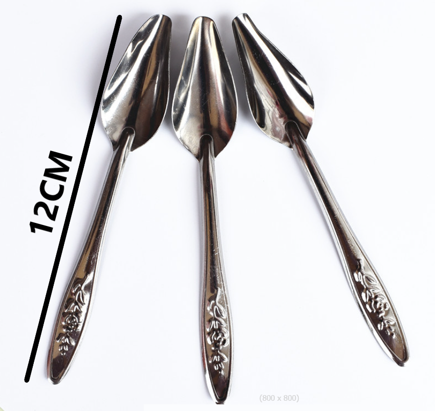 1 muỗng đút bột cho chim, vẹt non