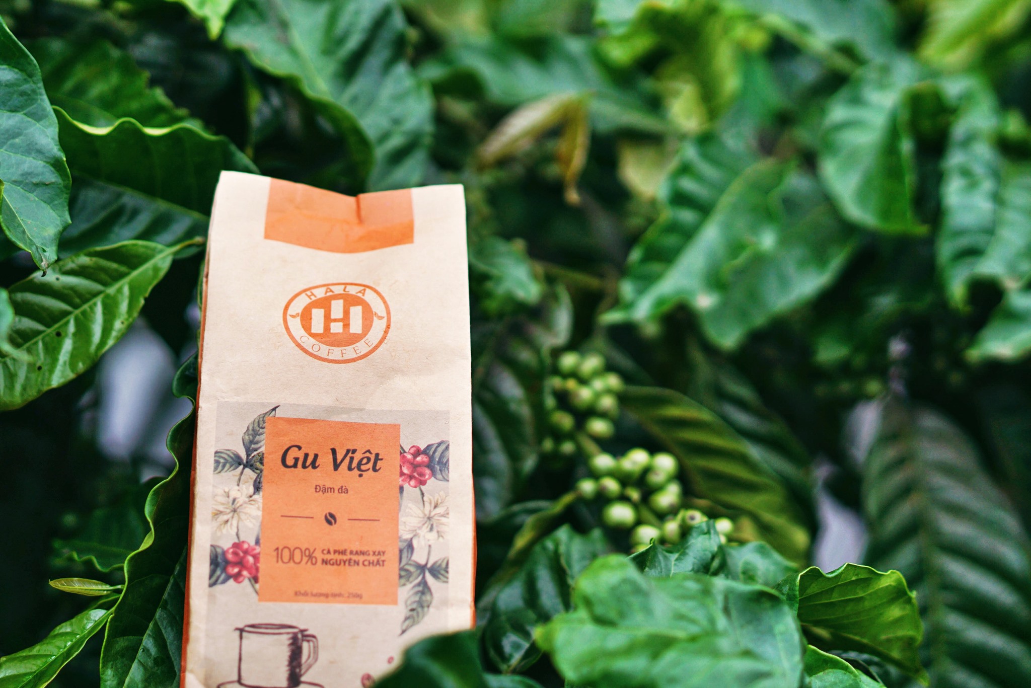 Cà phê pha Espresso Arabica Hala Coffee 500gr