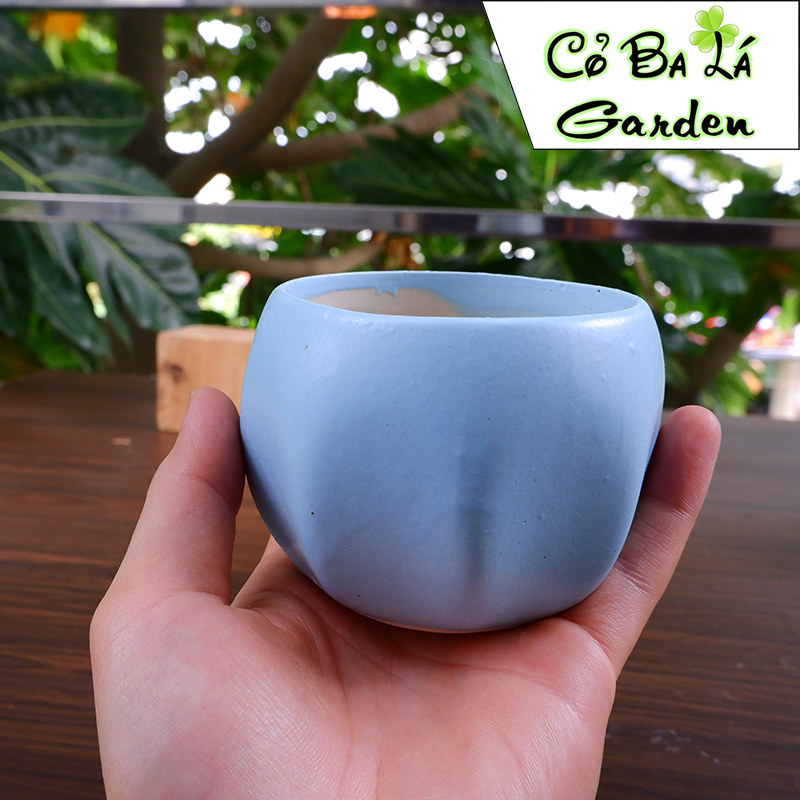 chậu sứ bát tràng-hình bóng lõm