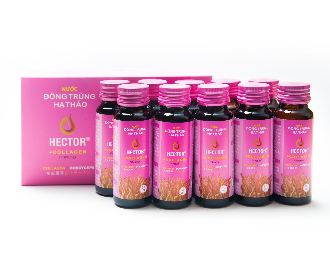 COMBO Nước Đông Trùng Hạ Thảo Hector Collagen và Hector Sâm