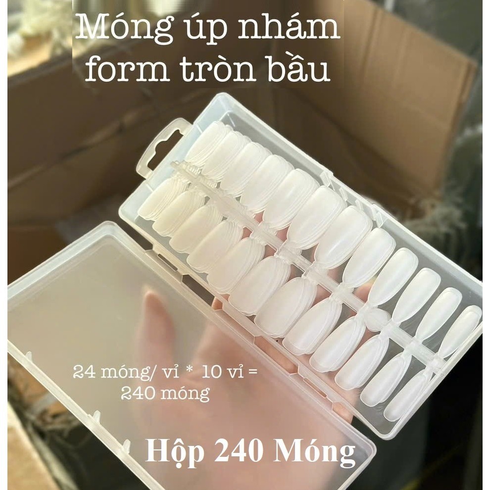 Móng Úp Tròn Bầu móng úp nhám 240 móng -sinailmi