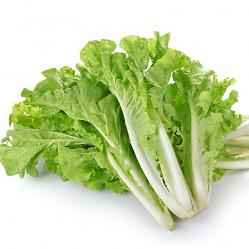 Hạt giống cải bẹ dún - gói 10 gram