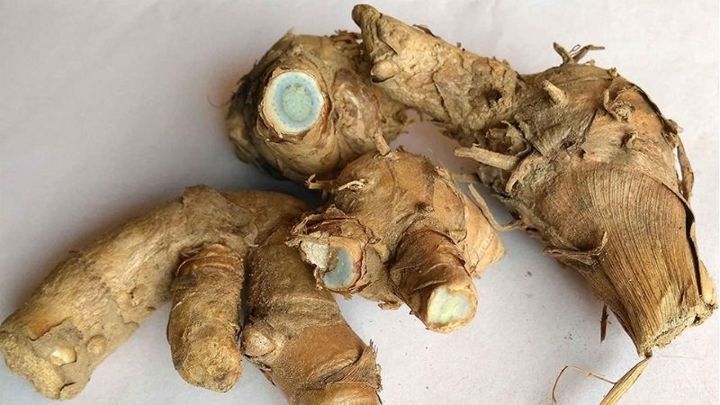 Củ nghệ đen nhà trồng 1 ký (loại tươi)