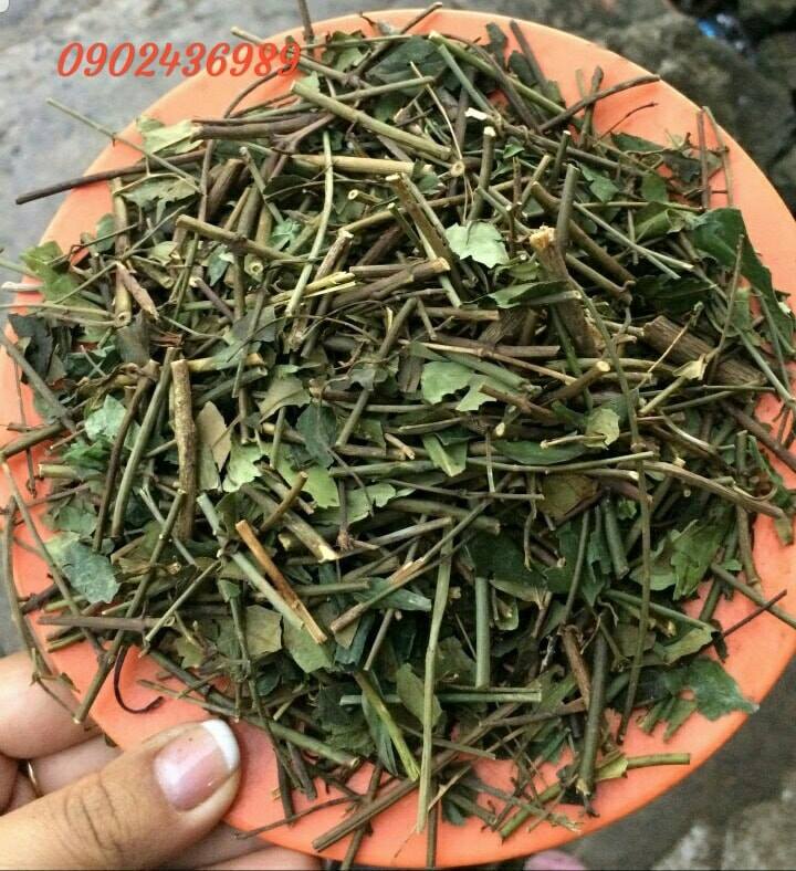 CHÈ VẰNG / TRÀ VẰNG SẺ LỢI SỮA NGUYÊN CHẤT