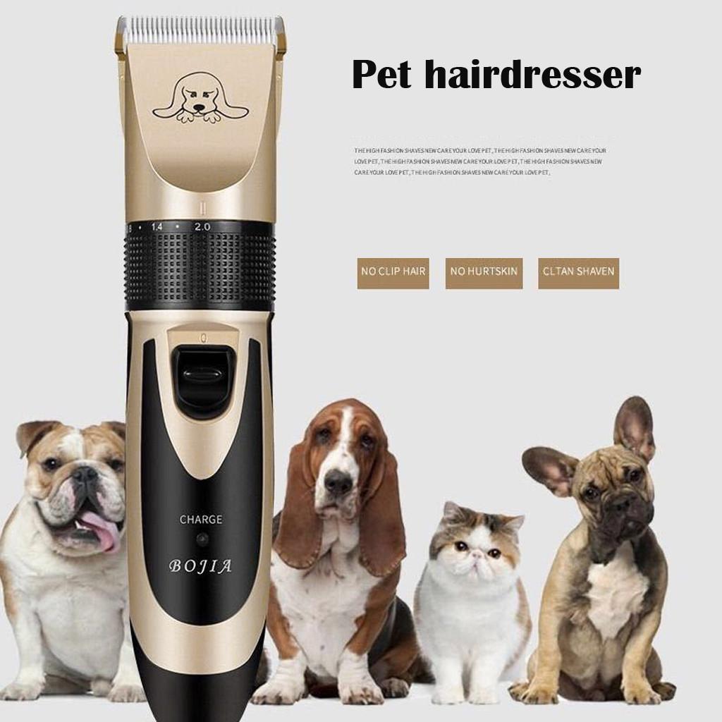 Low Noise Pet Hair Clipper Rechargeable Dog Trimmer Cordless Pet