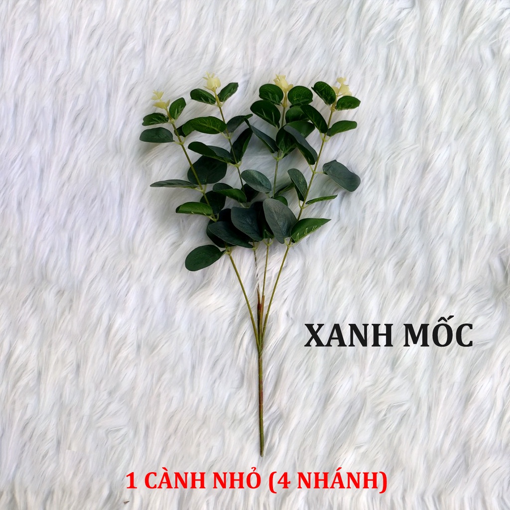 Cành lá táo, lá dolar, lá mimosa - phụ kiện trang trí cắm hoa