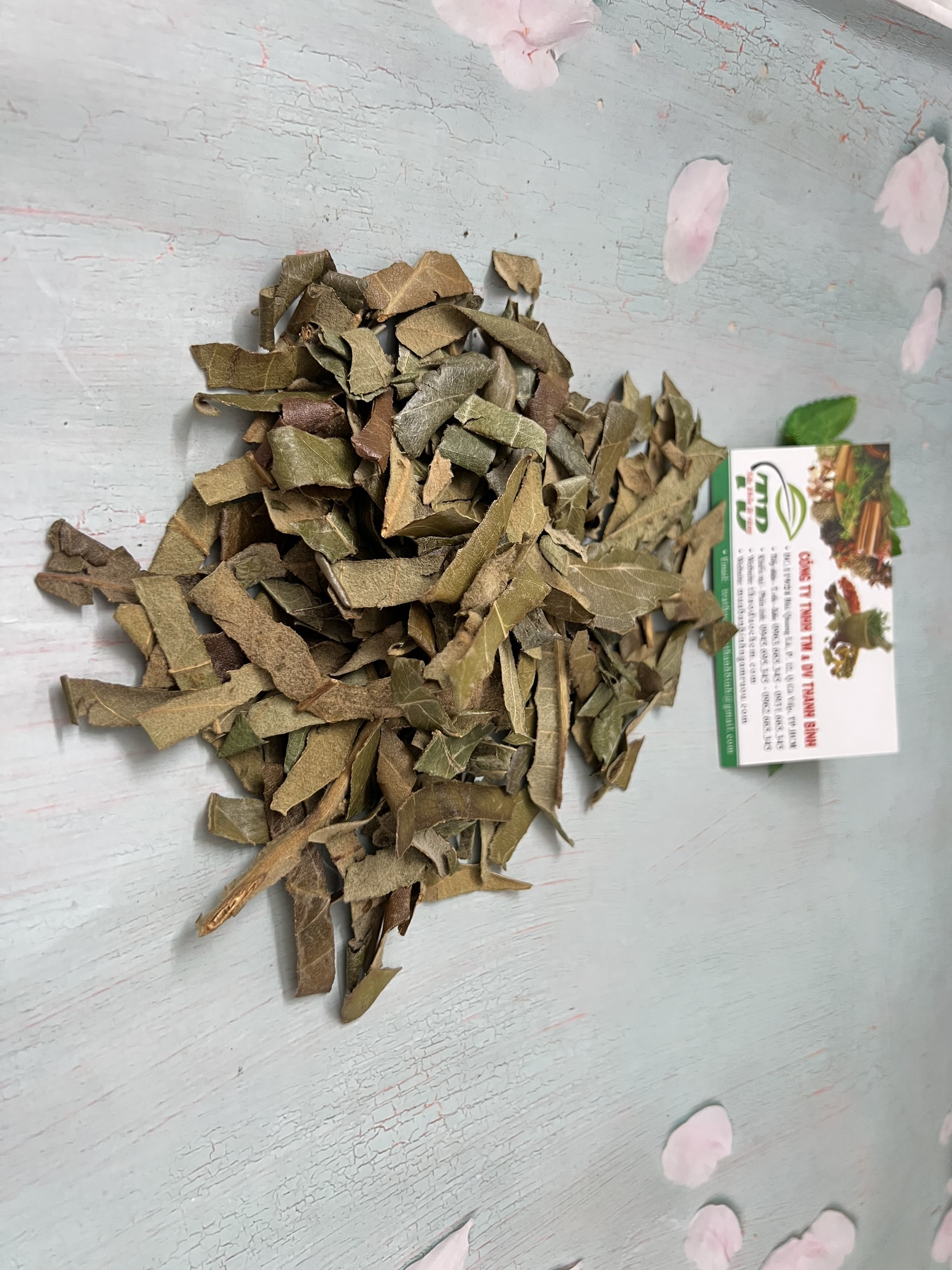Tỳ Bà Diệp 100G - Hàng Công Ty Thảo Dược Thanh Bình