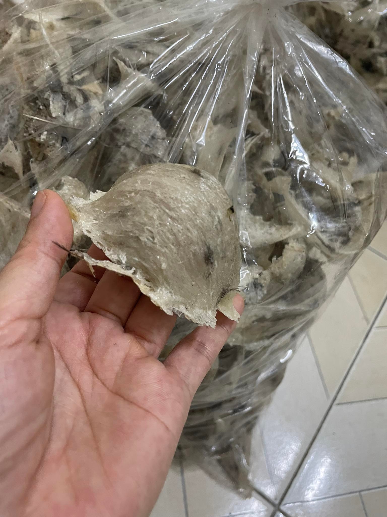 Yến thô tự nhiên 100gram cao cấp