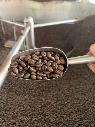 Cà phê arabica đăk lăk đặc sản tây nguyên bontay bt05 - ảnh sản phẩm 5
