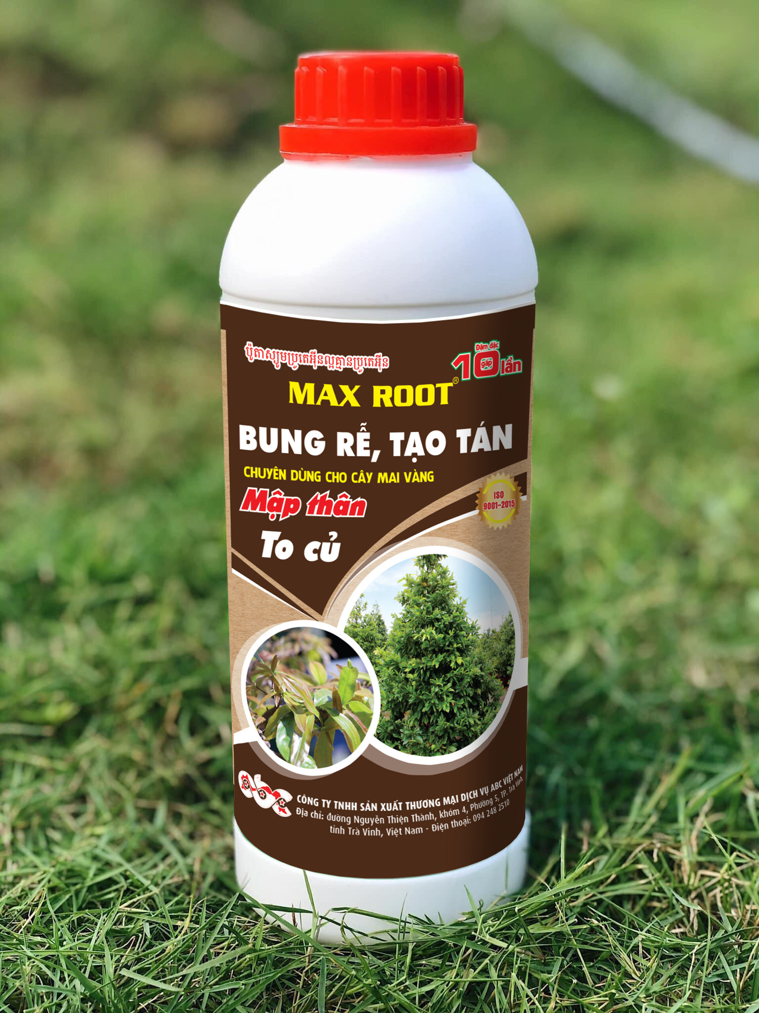Dưỡng rễ bung chồi chuyên mai vàng Max root 1 lít