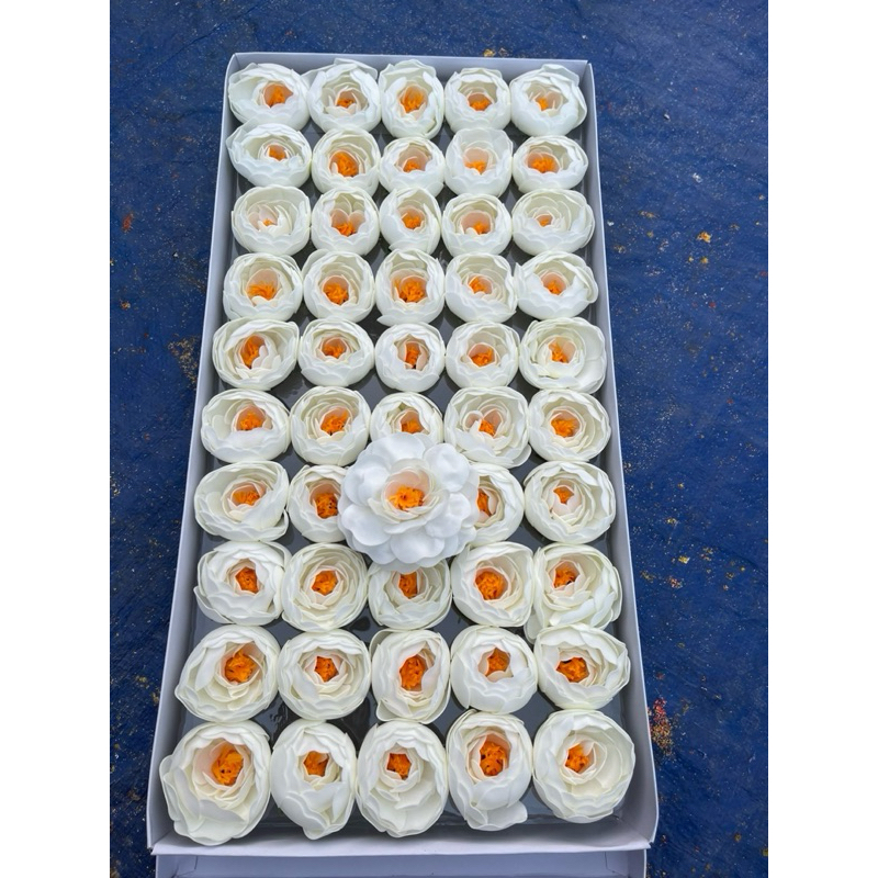 HOA SÁP MAO LƯƠNG”hoa trà”( hộp 50 bông)
