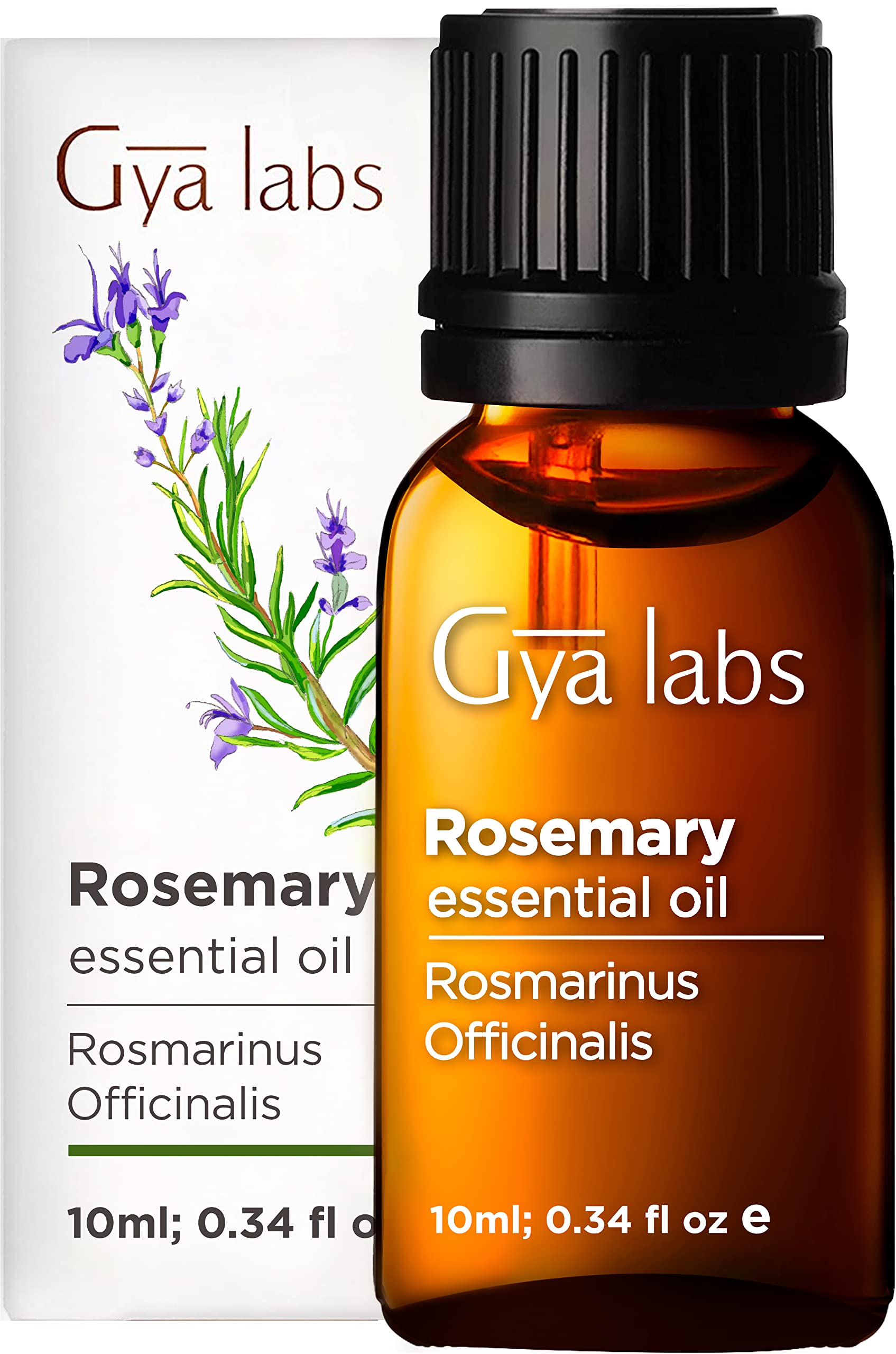 Gya Labs Rosemary Essential Oil for Hair Growth (10ml) - Pure, Therapeutic  Grade Rosemary Oil - Perfect for Aromatherapy, Oily Skin & Boosting Focus -  Use in Diffuser or on Skin &