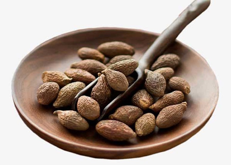 500g hạt đười ươi phan rang siêu ngon-đồ ăn vặt