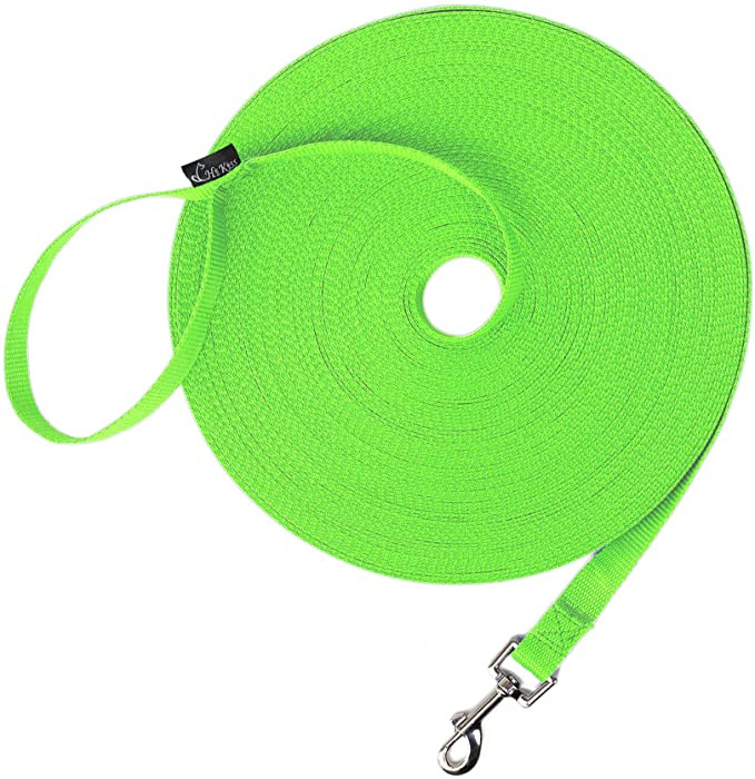 100 foot dog training leash