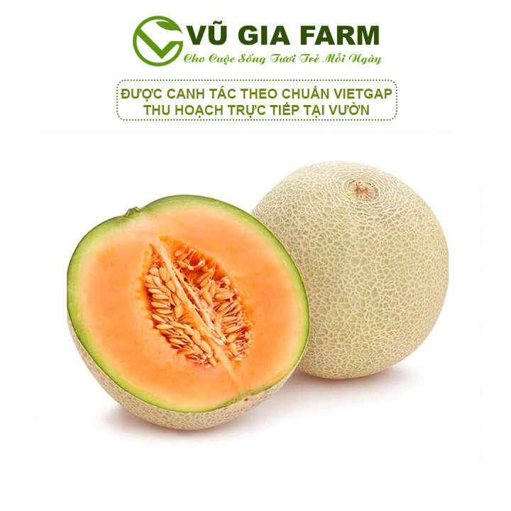 Dưa lưới giống Nhật - Ngon, giòn, ngọt