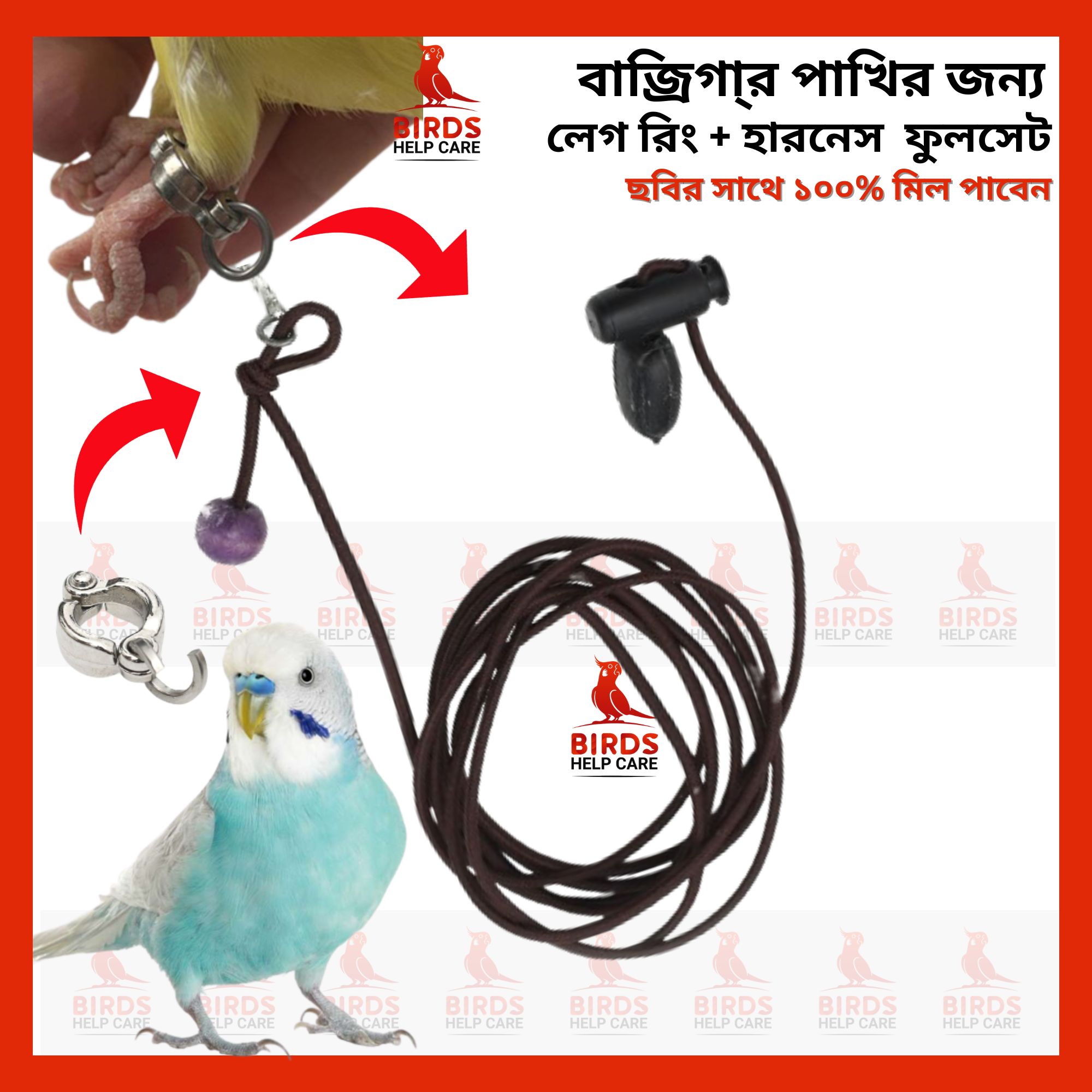 Bird Chain Budgerigar Birds Leg Chain & Harness full setup 1PCS | Daraz.com.bd
