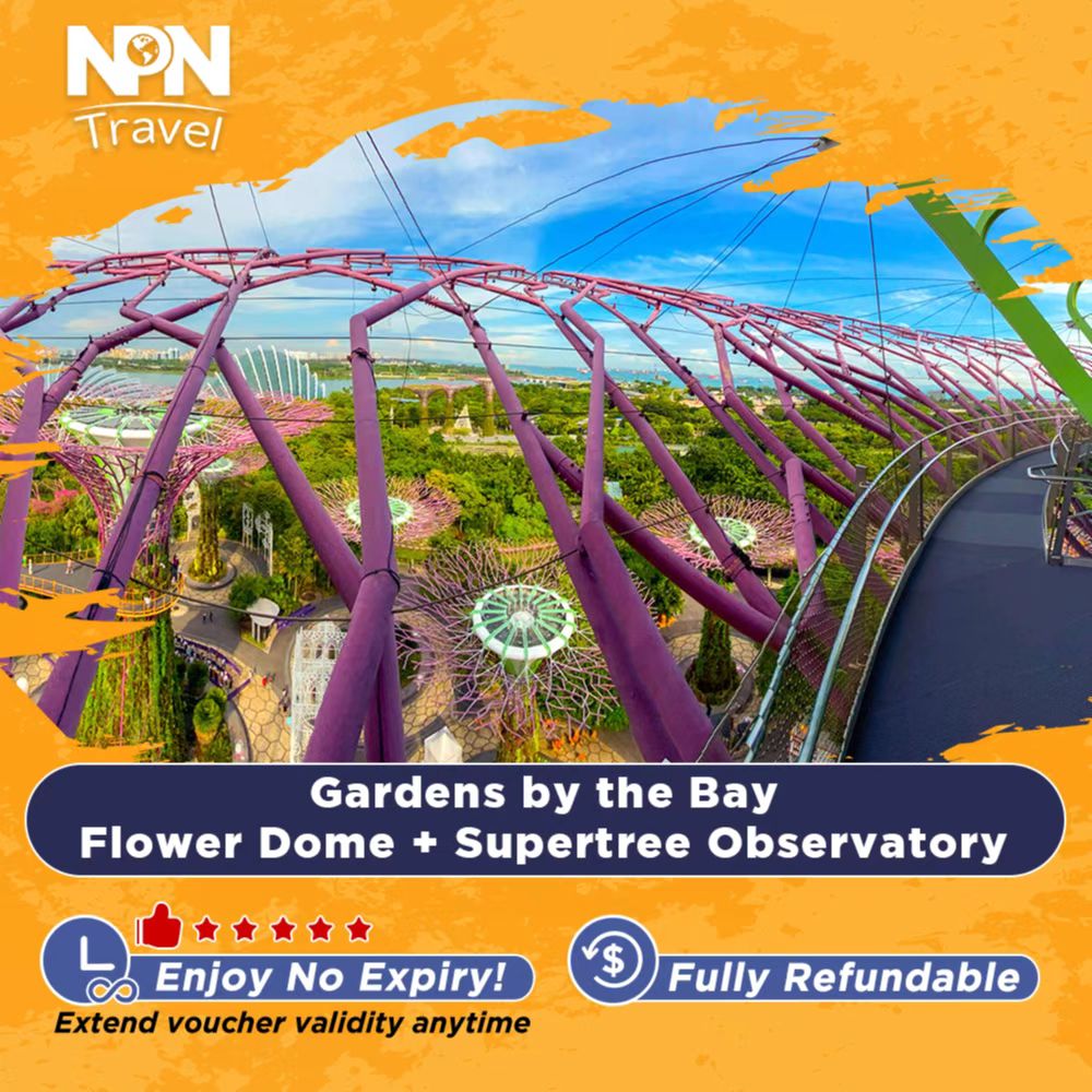 Gardens by the Bay Flower Dome and Supertree/Cloud Forest (Direct