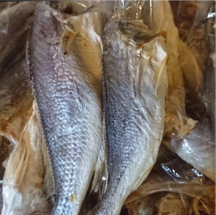 1kg khô cá đù size nhỏ tự nhiên đặc sản cà mau-> tú vy food